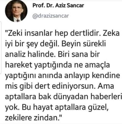 Aptal insan mutlu mu yaşar?
