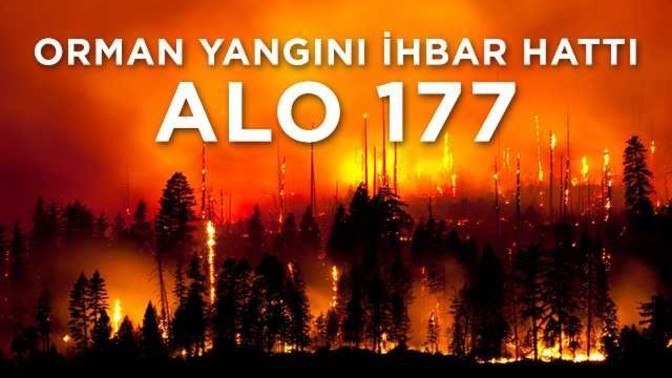 Ormanda yürüyüş yaparken ağaçları ateşe veren birini görseniz derhal 177'yi arar mısınız?