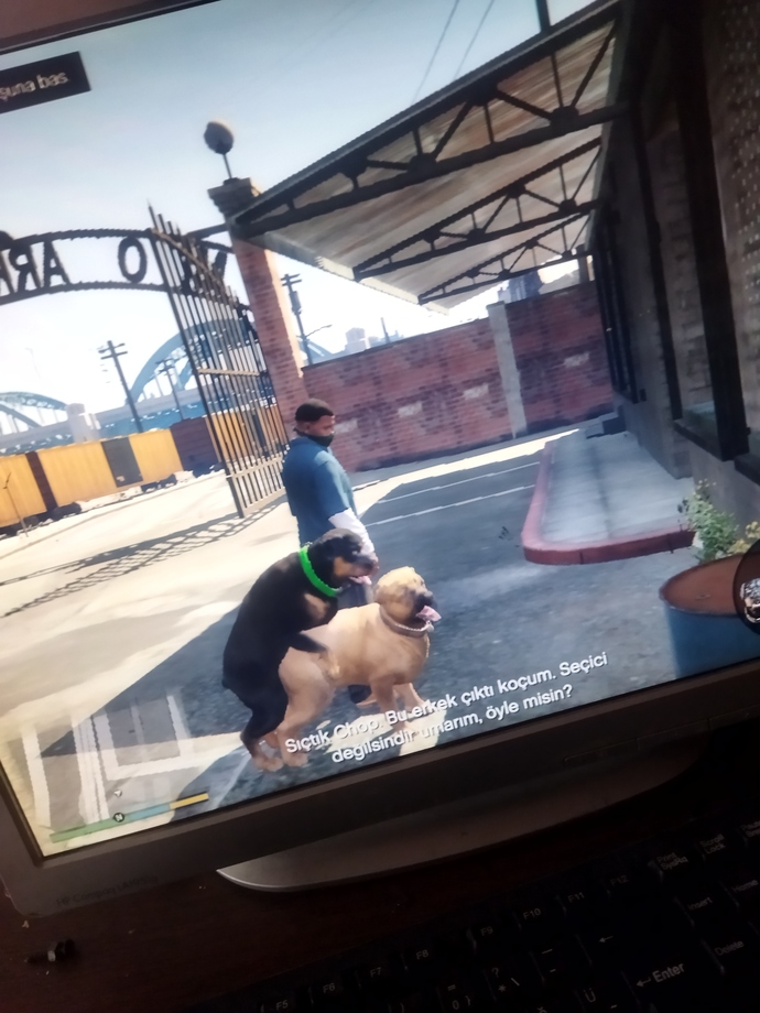 Gta 5 de bu chop un erkek köpeği kız sanması çok komik ya hiç seçici bir köpek değil gelişine geçirdi resmen köpeğe:)))