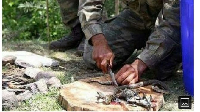 Bu resimdeki olay gerçek mi mizah amaclı mı?