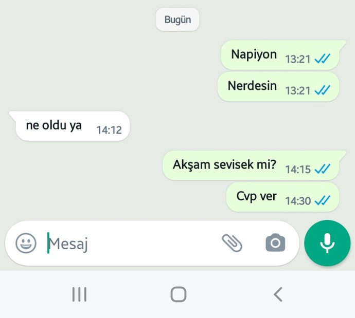 Israr sever misiniz?