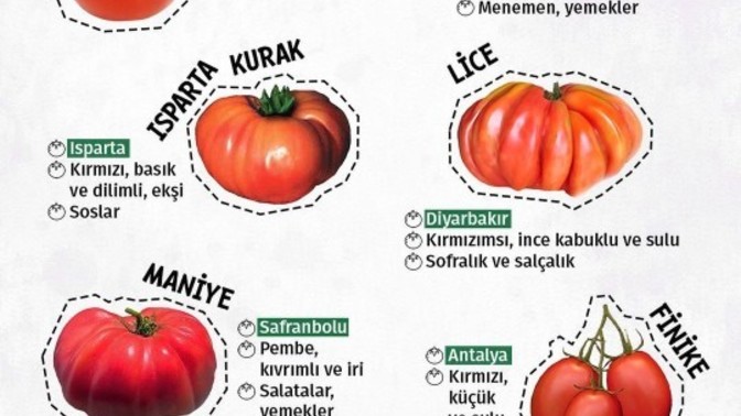 Domates Severmisiniz?