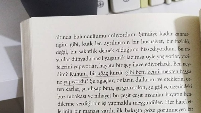 Kitap okurken beğendiğiniz satırların altlarını çizer misiniz yoksa kitap dokunulmamış gibi tertemiz kalsın kafasında mısınız?