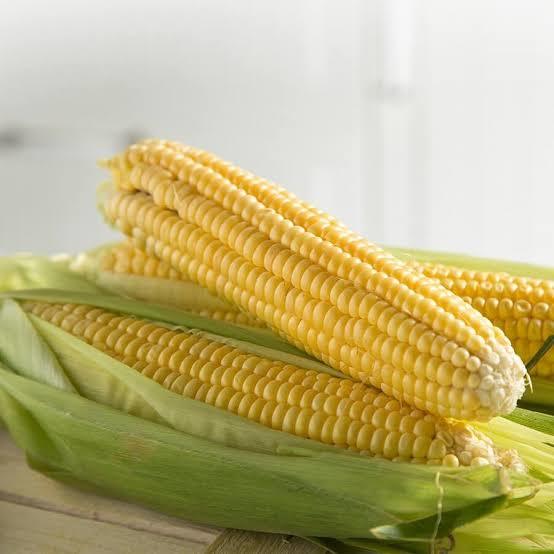 Süt Mısır 🌽 sever misiniz?