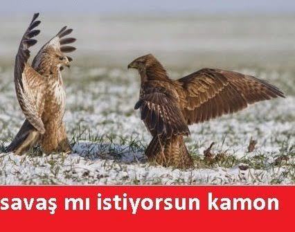 "Senin yüzünden bu haldeyim" demek istediğiniz biri var mı?