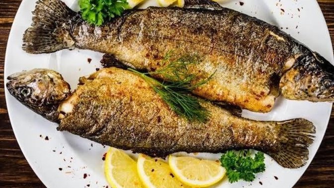 En sevdiğiniz balık nedir?
