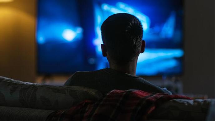Sadece bir mevsimde film ya da dizi izleyecek olsaydınız ne olurdu?