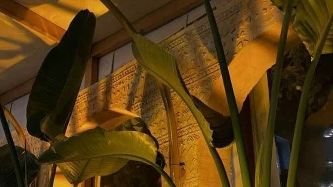 Sizin için fotoğrafı "biricik" yapan unsurlar nelerdir?