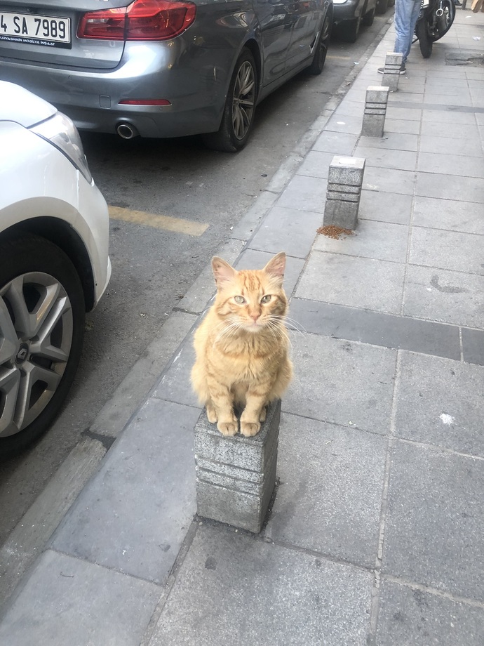 En son neyin resmini çektiniz?