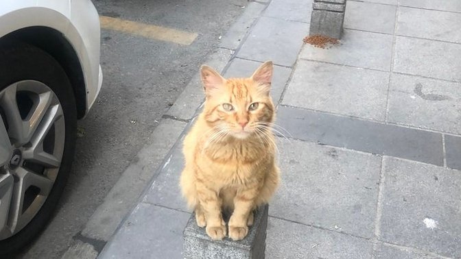 En son neyin resmini çektiniz?