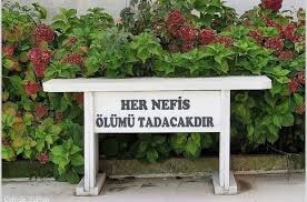 Gassal olmak istiyorum?