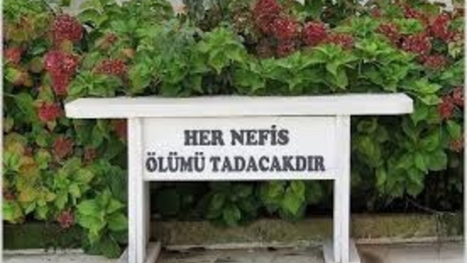 Gassal olmak istiyorum?