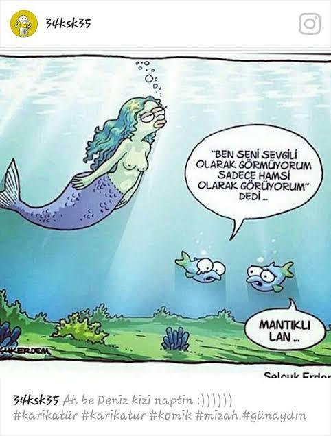 Gerçek balık