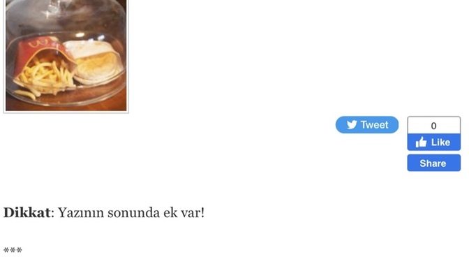 Hamburger yemek. mcdonald’s hamburgeri 10 sene sonra bile bozulmadı?