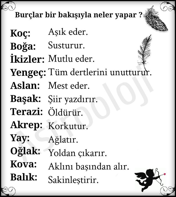 Burcuna göre bir bakışınla ne yapıyormuşsun?