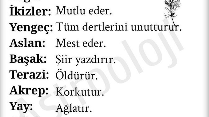 Burcuna göre bir bakışınla ne yapıyormuşsun?