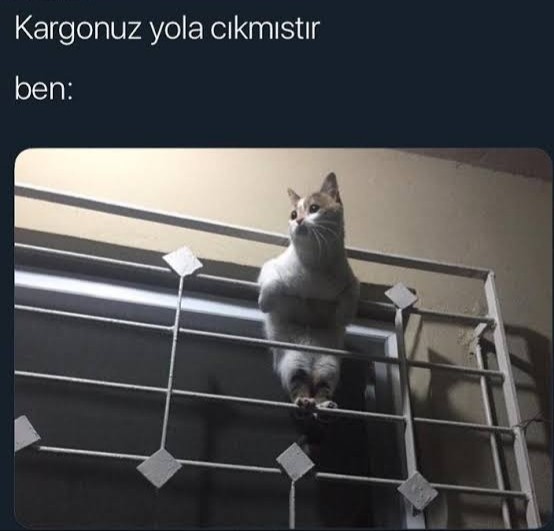 Kargo beklemek neye benzer?