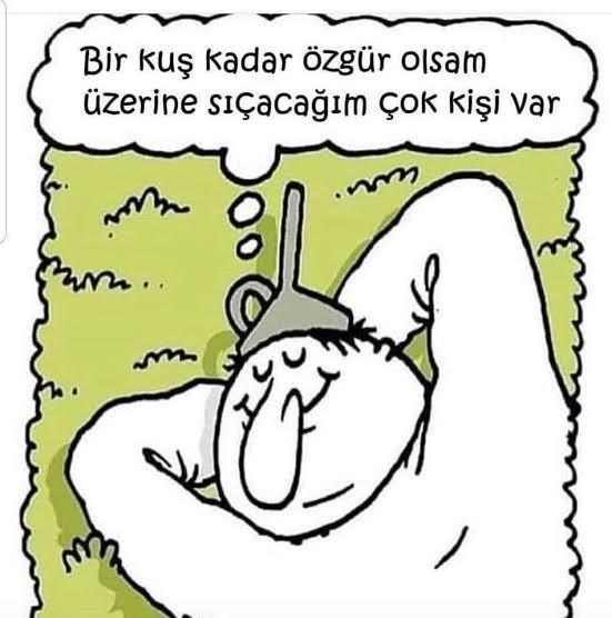 Kuş gibi özgür olsaydın, ilk ne yapardın?
