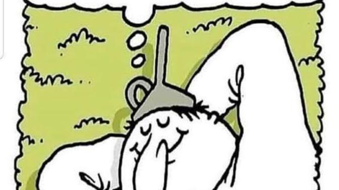 Kuş gibi özgür olsaydın, ilk ne yapardın?