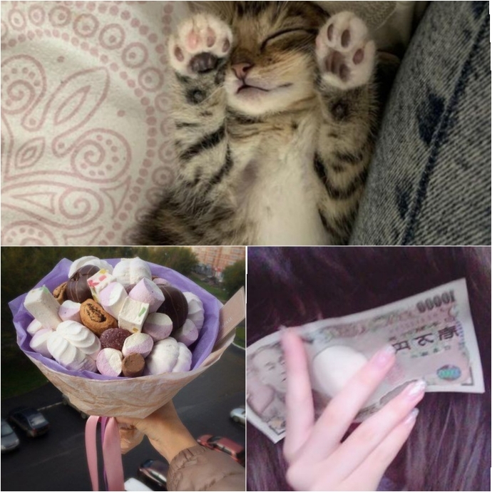 Kedi olsa güzel olurdu.