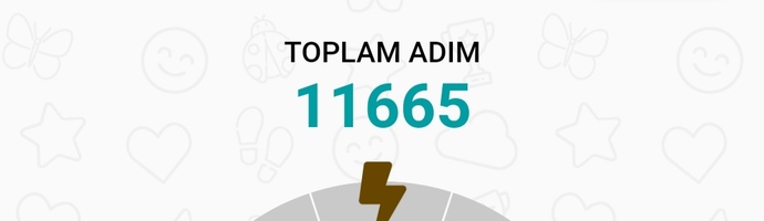 Bir günde en fazla ne kadar yürüdünüz?