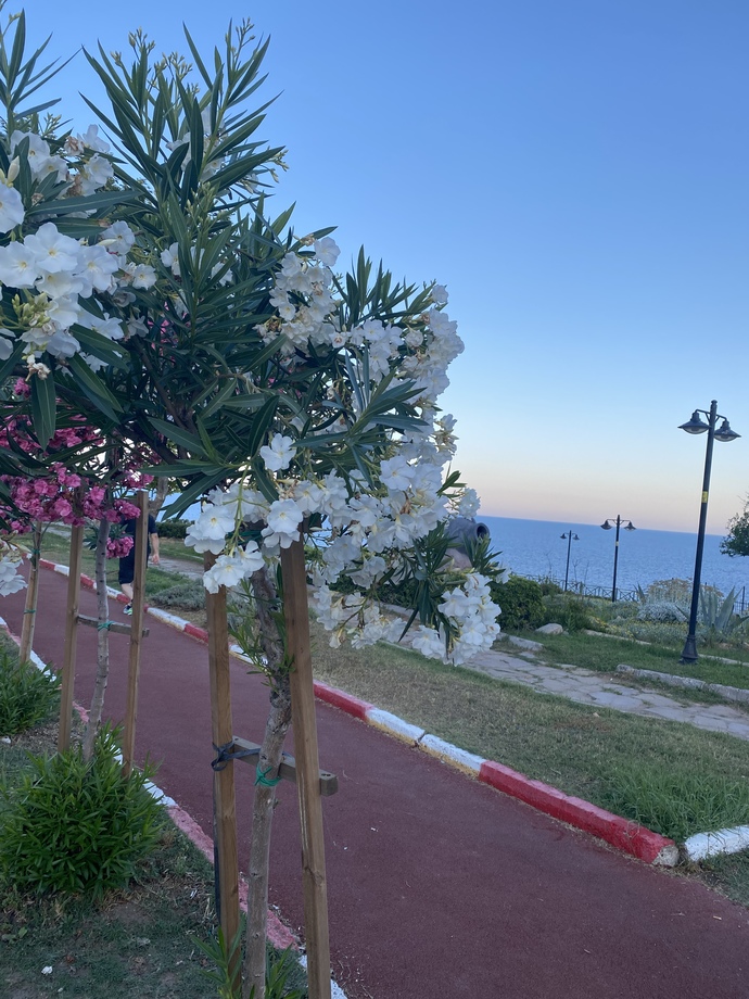 Düzenli olarak yaptığınız bir aktivite var mı 🚵♀️⛹️♀️🏇🏌️♂️🪂🏊♀️?