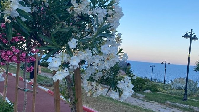 Düzenli olarak yaptığınız bir aktivite var mı 🚵‍♀️⛹️‍♀️🏇🏌️‍♂️🪂🏊‍♀️?
