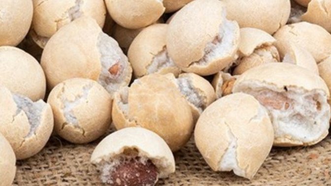 Toppy fıstık sevmeyen var mı, nasıl sevmezsiniz?