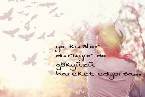 Belki de hicbir şey göründüğü gibi degildir 🤔 ?