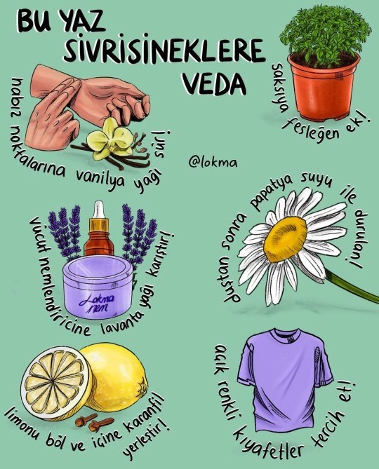 Sivrisineklerle nasıl mücadele ediyorsunuz?