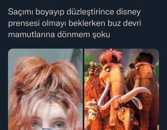 Saç modeliniz hiç bir hayvana benzedi mi?