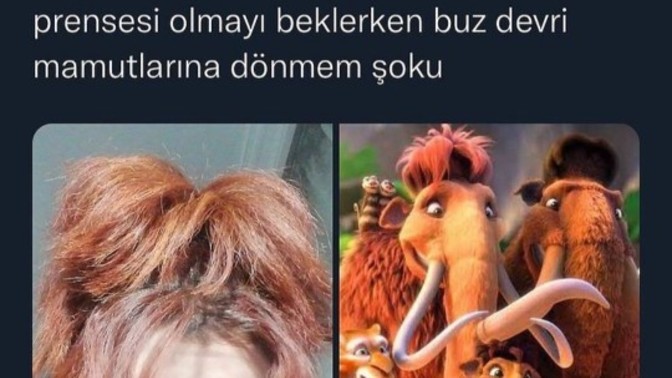 Saç modeliniz hiç bir hayvana benzedi mi?