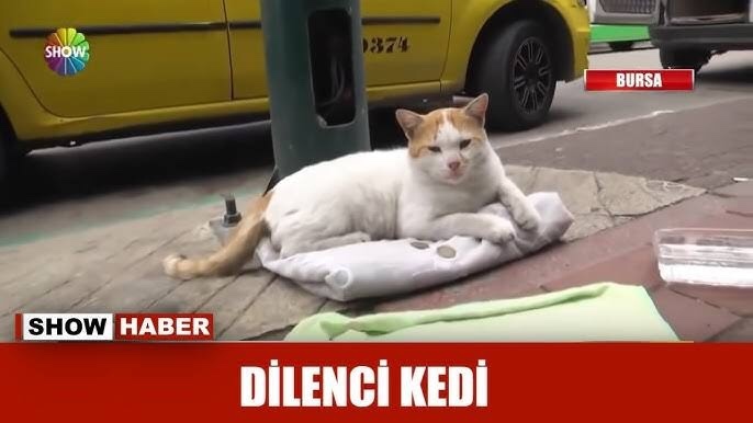 Sizi de sinir eden durumlar var mı?