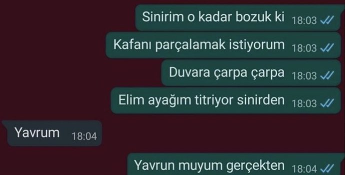 Sevdiğiniz insanın hangi kelimesine tav olursunuz?