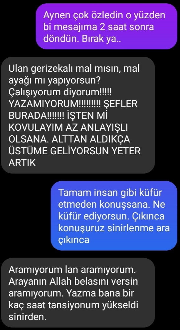 Erkek arkadaşım küfürler etti ve üstelik telefonlarıma bakmıyor öğlenden beri! Sizce kim haklı?