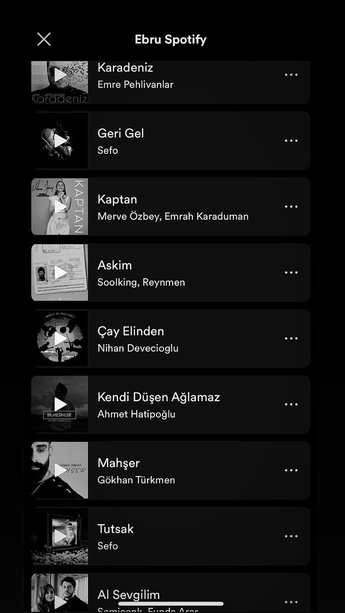 Spotify çalma listesinde hangi şarkıları dinliyorsunuz?