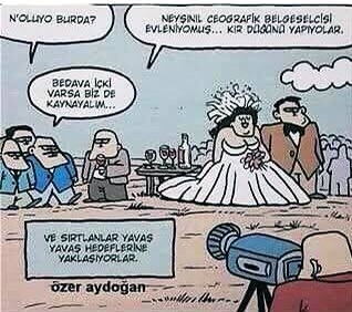 En sevdiğiniz vahşi hayvan hangisi?