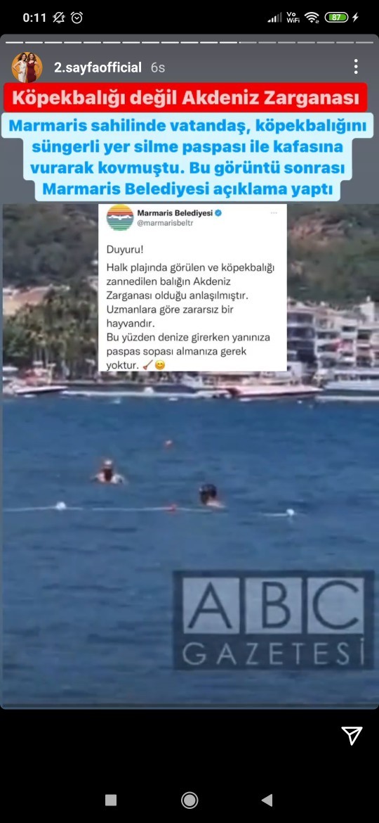 Paspasla köpekbalığı kovmaya cesaretin var mı😱?