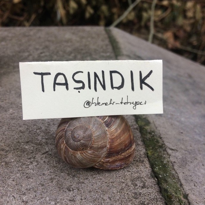 En son ne zaman taşındınız?