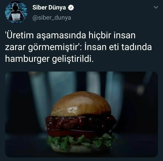 İnsan eti tadın da hamburger geliştirilmiş sizce yenir mi?
