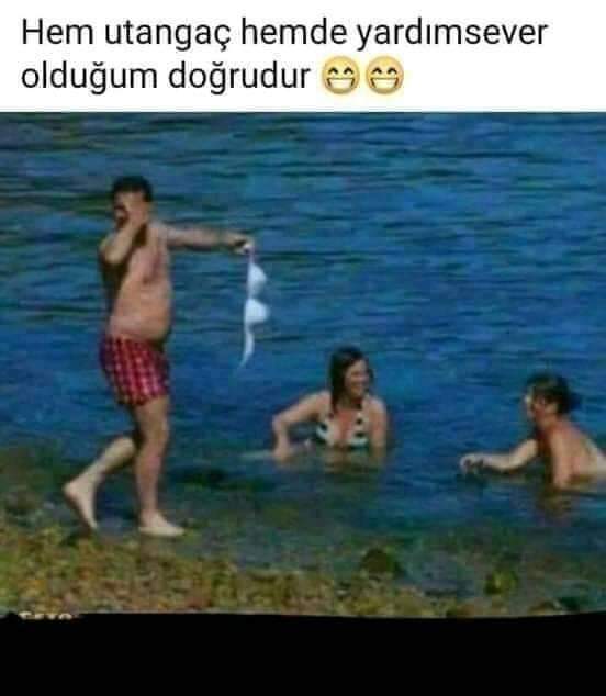 İTÜ'deki köpek sütyen çalarken yakalanmış. İTÜ erkekleri özel olarak mı eğitmiş sizce :D?