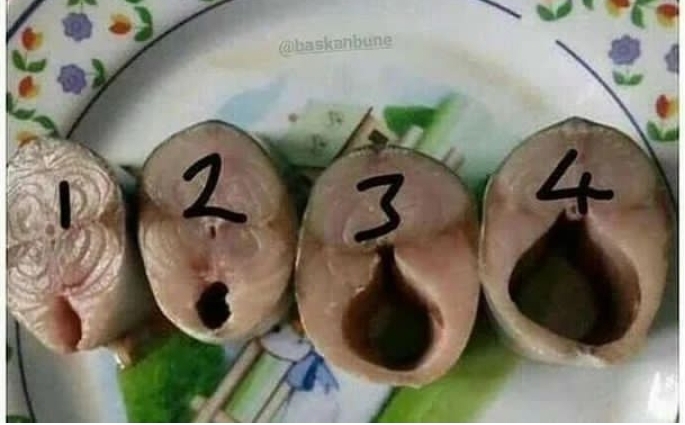 Üniversiteyi şehir dışında okumak mı yaşadığın şehirde okumak mı?