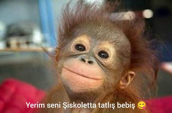 Ahh şu başıma gelenler dediğiniz oldu mu? Allah aşkınıza ne zaman oldu?