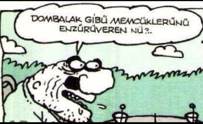 Libidosu yüksek olan mı yüksek olmayan mı?