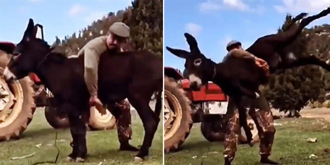 Antrenmanlarını eşekle yaptı, altın kemer kazandı! Kazanmak için size özgü yöntemleriniz var mı?