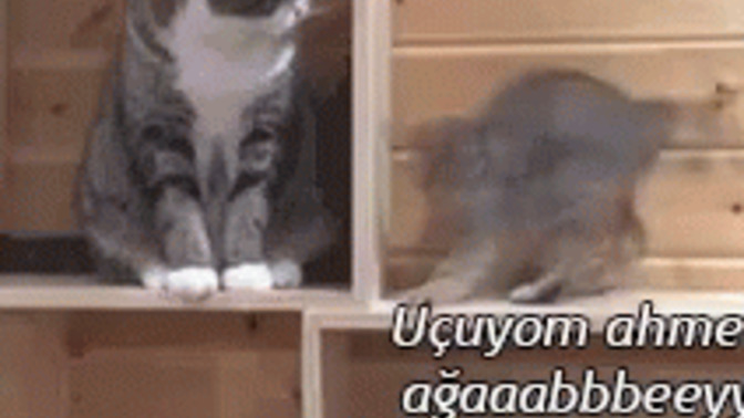 Her şeyin saçmalaştığı bu zamanda siz olayları nasıl izliyorsunuz?