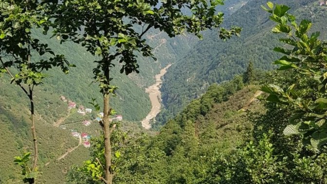 Karadeniz hayranları neredeler?