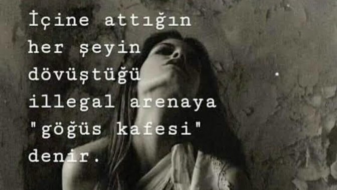 Senin hakkında herşeyi bilmek istiyorum Diyen birine herşeyinizi anlatır mısınız?