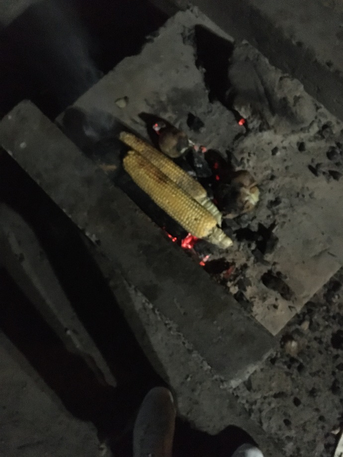 Közde Mısır sever misiniz?