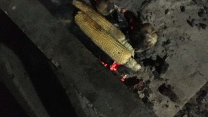 Közde Mısır sever misiniz?
